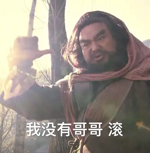 有没有这样的表情包鸭真的好可爱
