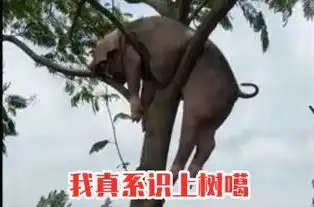 秋风起,食你卤味
