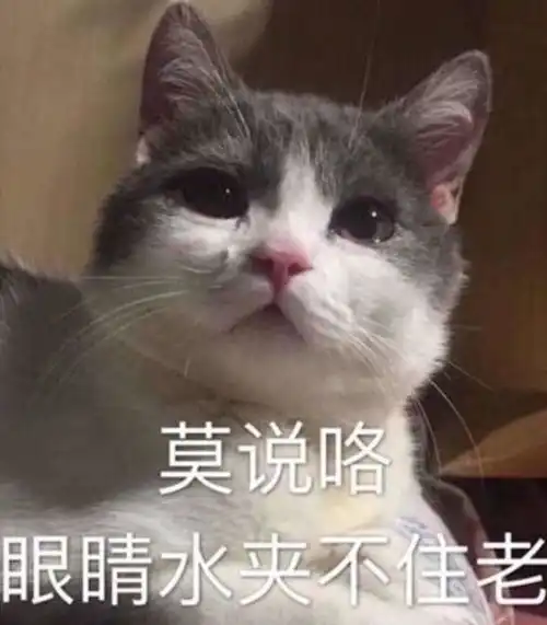 有那些比沙雕表情包更沙雕的事