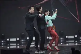 组图2017新浪微博之夜现场黄渤蔡依林何炅爆笑尬舞