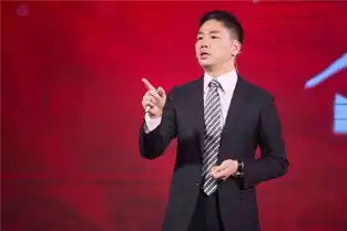 图解刘强东的奢华生活私人飞机比马云的贵1亿
