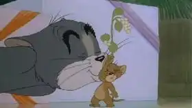 爆笑猫和老鼠鬼畜配音丨第二期吃独食的汤姆

