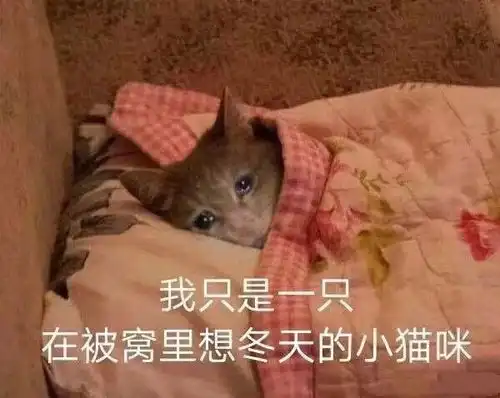 搞笑图片幽默段子现在女孩子都喜欢暖男,我得始终保持暖暖啊
