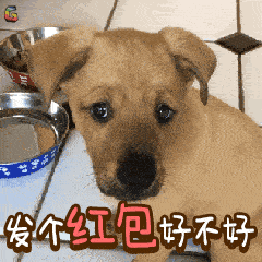 2018狗年春节祝福问候表情动态图片赶紧收好