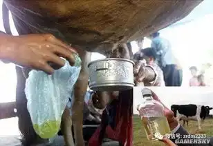 你们还真是什么都敢喝全球十大奇葩饮料
