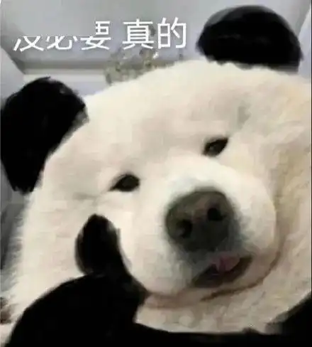 微信上线新功能,这次又炸了
