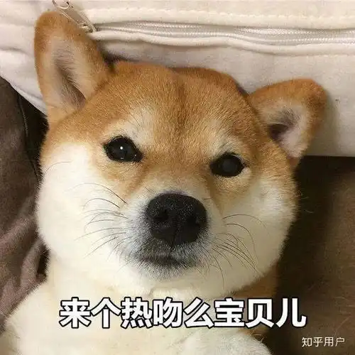 如何评价b站up主青色小柚子
