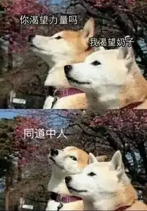 大王搞笑170824紧张的女孩子真是太可爱了
