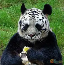 搞笑小说,要超搞笑的,笑死人不尝命的文字或图片
