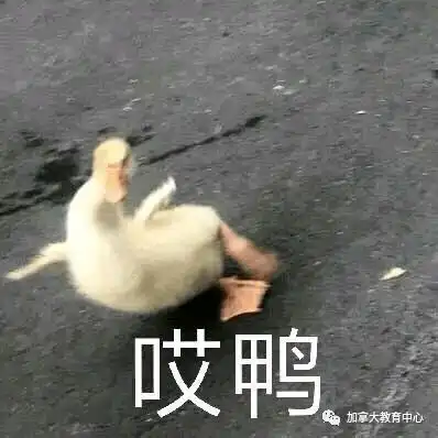 对网课不满意可退学费是什么原因让这所大学这么有底气
