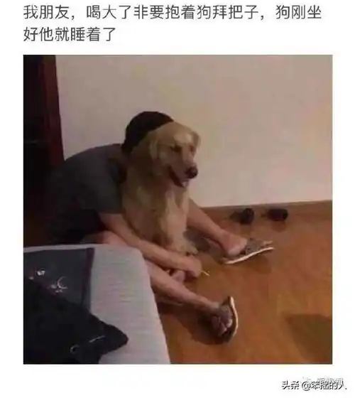 让你笑出腹肌的搞笑图片第6期

