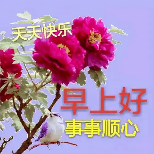 生命就是一杯清茶