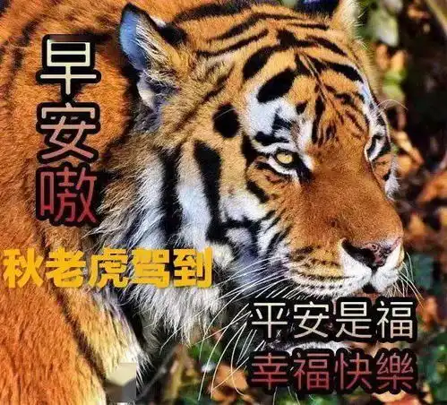 8月15日末伏早上好动态表情图片大全,早晨好动图美图大全
