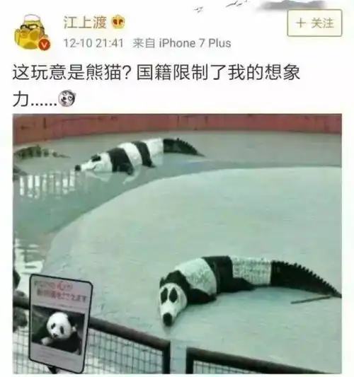 搞笑图片三岁半的时候,我就明白男人不能没有车
