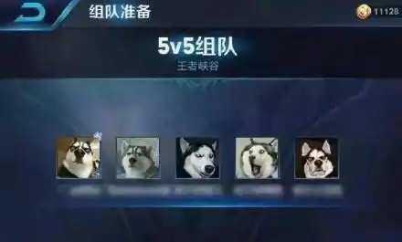 关于王者荣耀的那些搞笑头像图,晒晒你的五黑头像
