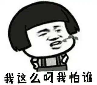 斗图表情包合集你说什么我看不见
