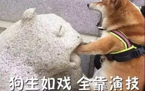 叮咚您收到了一个圣诞礼包
