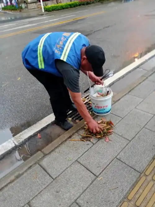 三镇突起暴雨大风,环卫工人工作量增三成依然认真值守