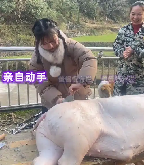 女子回村第一天,就帮村里人杀猪宰羊超贤惠,男生我的理想型
