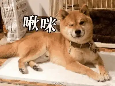 有优质好货的商家看过来我们来开团啊
