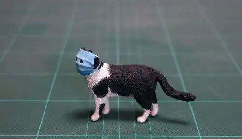 戴口罩陪主人买菜,这只猫火遍了全世界
