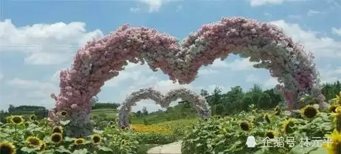 五月让我们牵手走进自贡市沿滩区永安镇观音湖葵花园大声说出我爱你
