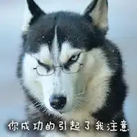 不想拍电影的游戏公司员工不是好程序猿
