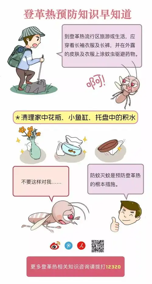 与蚊子的战争仍在继续哦,漫画图解登革热,让你不再被蚊子叮叮叮
