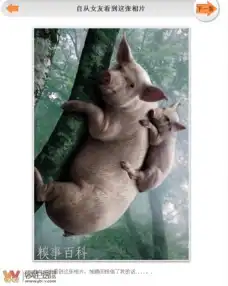 网上看的颇有感慨
