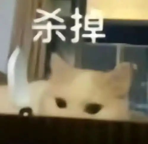 寒假最富裕大学生,毕业喜提十二年工作经验,到底什么来历