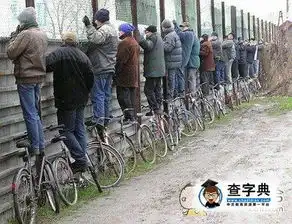 有好戏看了搞笑图片
