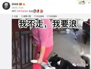 蔡依林的怼人周冬雨的凝视......明星用起表情包也是6到飞起