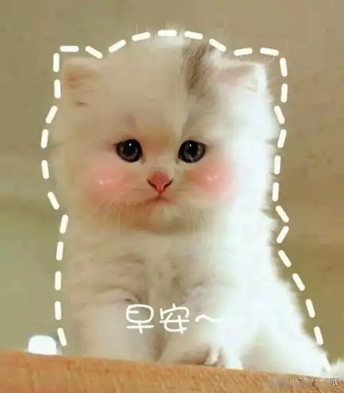 搞笑图片带字 笑死人搞