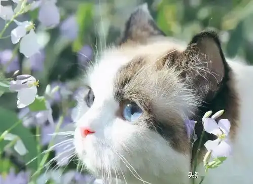 4月第一天,祝朋友们一切安好

