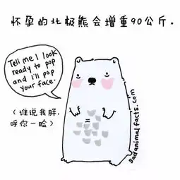 鲨鱼一次怀孕需要4年猪是看不到天空的
