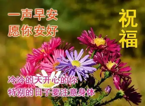 早安祝福语录图片,愿你清晨起床后心情好好,笑口开开,早上好人生路