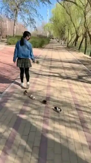 带宠物出门遛弯,太好玩了
