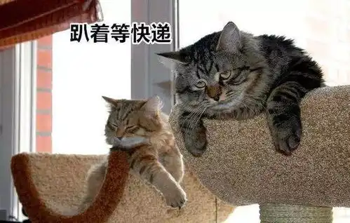 00后大学生报到流行两手空空都有空手到排行榜了

