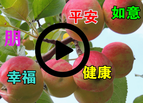 微信初冬动态图片全字带转动带祝福语冬季问候语集锦
