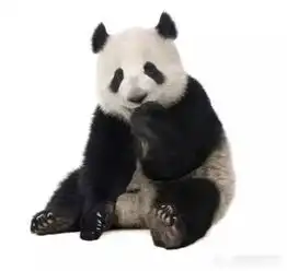 9月22日,感觉整个世界都萌萌哒
