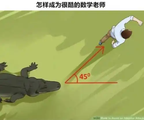 网友的脑洞挡不住,一张普通的例图,搭配文字秒变搞笑
