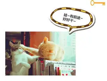 搞笑的图片配文字手机壁