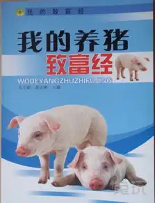 舔狗舔到最后一无所有,不如养黑猪让你应有尽有