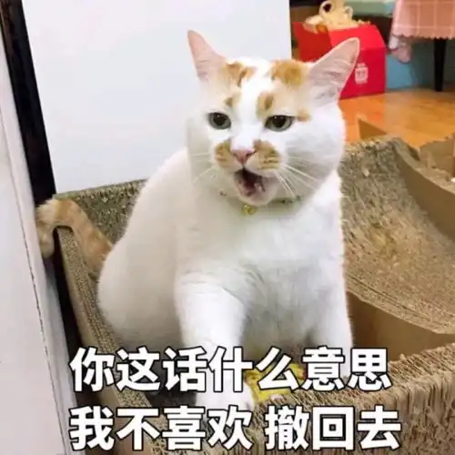 让人心疼又好笑的舔狗统一语录文案
