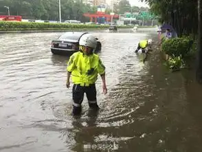 台风苗柏登陆深圳多地被淹大水随处可见
