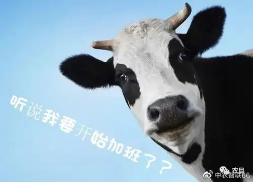 三胎政策造就畜牧红利时代,农目带你洞察畜牧养殖未来
