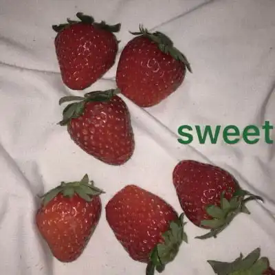 草莓微信头像图片大全用草莓唯美图片做头像
