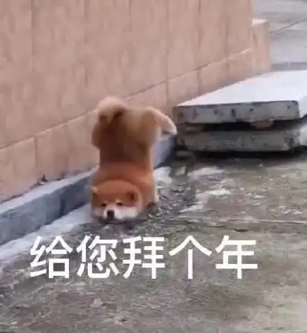 适合过年发的可爱沙雕文案附30张表情包
