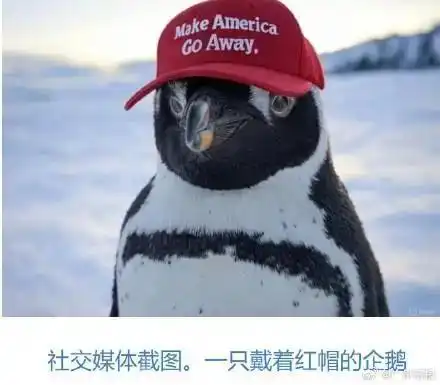 企鹅税成全球网友恶搞对象,调侃美国对企鹅征税荒诞举动
