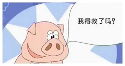 搞笑辉辉我才是病人啊,我太难了
